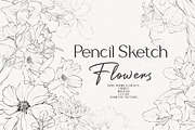 Pencil-drawn flowers, a Decorative Illustration by Damian Roh (Thumbnail 1 of 21)