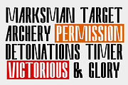 Nevary Modern Sans Family | 75% OFF, a Sans Serif Font by Lettertype Studio (Thumbnail 9 of 20)