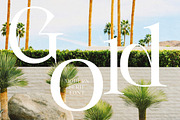 Gold & Song Modern Serif Font, a Serif Font by Storytype Studio (Thumbnail 10 of 15)