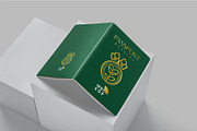 Passport Booklet Mockups, a Product Mockup by megostudi0 (Thumbnail 4 of 7)
