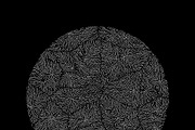 Growth - 10 Backgrounds, a Texture Graphic by GarryKillian (Thumbnail 11 of 11)