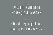 Emellda, a Serif Font by Kenrichi (Thumbnail 2 of 12)