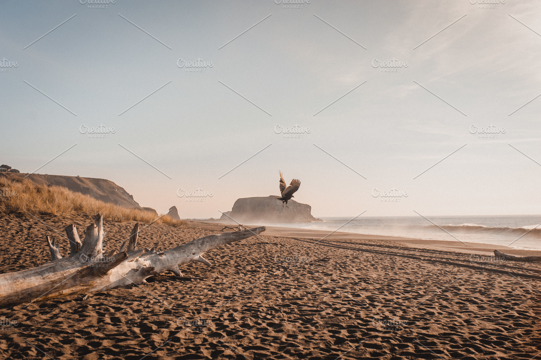 Beautiful sunset on willd beach, a Nature Photo by TheTheodors