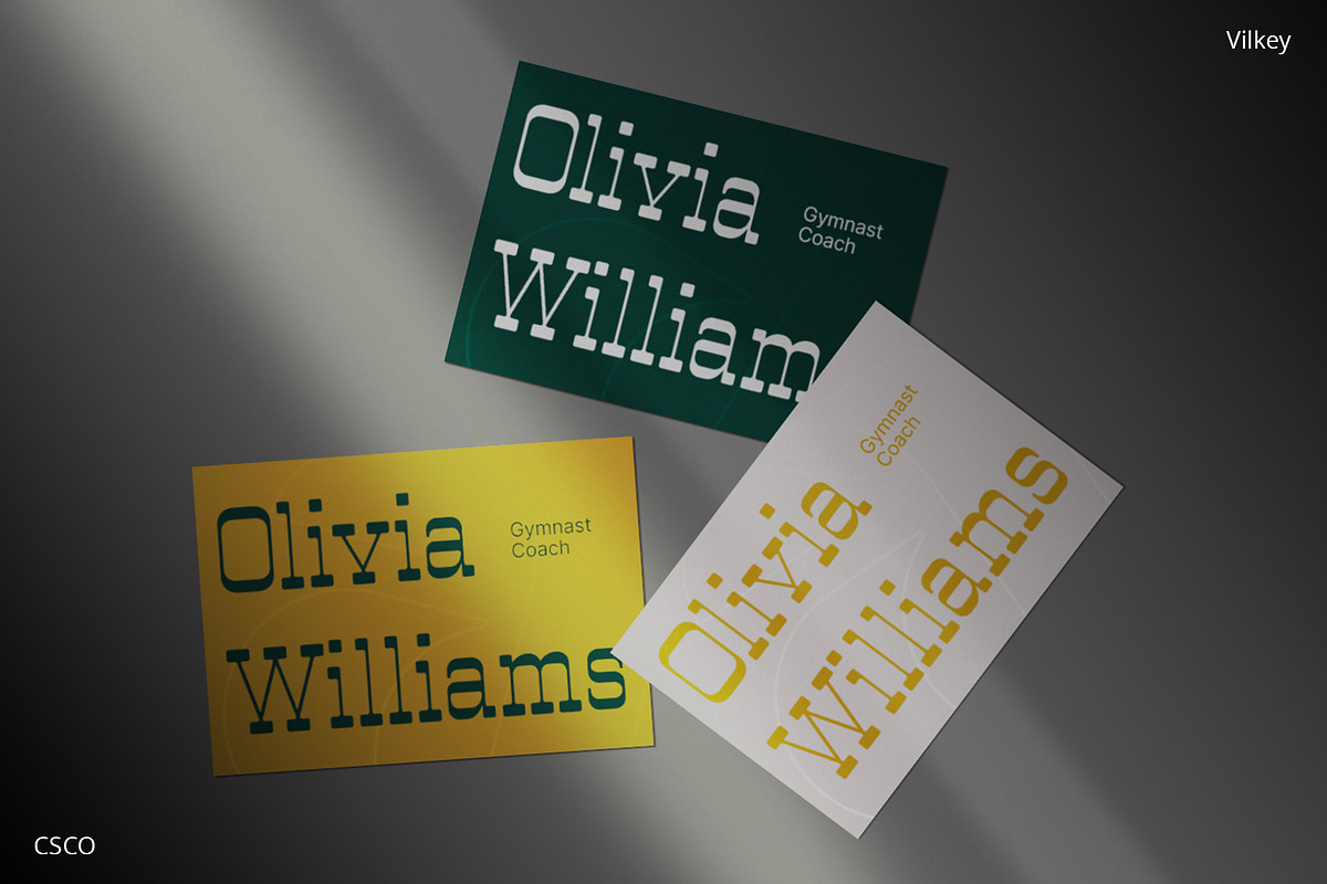Vilkey – Slab Serif, a Serif Font by Craft Supply Co. (Photo 3 of 8)