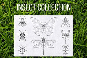 Geometric Insect Set