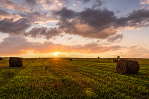 Golden sunset rolling field with hay bales. Panoramic farm lands, a Nature Photo by Eugene_Photo
