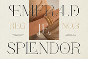 Absolute Glows -Sophisticated Luxury, a Serif Font by Shakira Studio (Thumbnail 3 of 10)