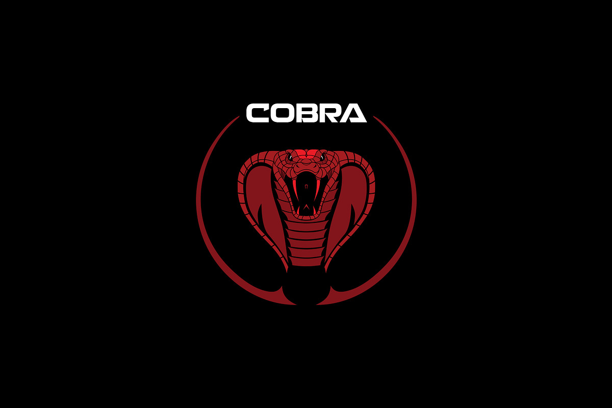 Cobra logo, a Branding & Logo Template by Midgardians (Photo 4 of 4)