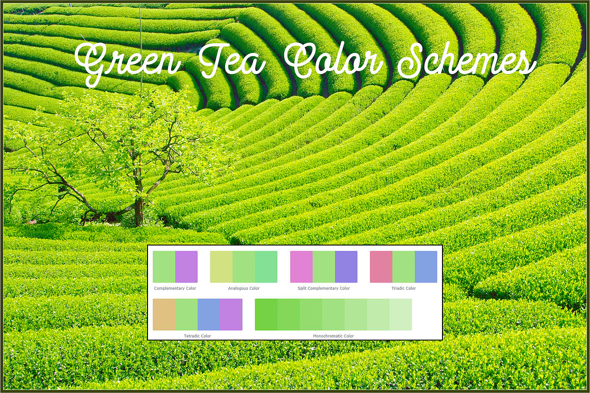 Tea Leaves Gradients preview 4