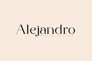 The Cartel - Elegant Serif Font