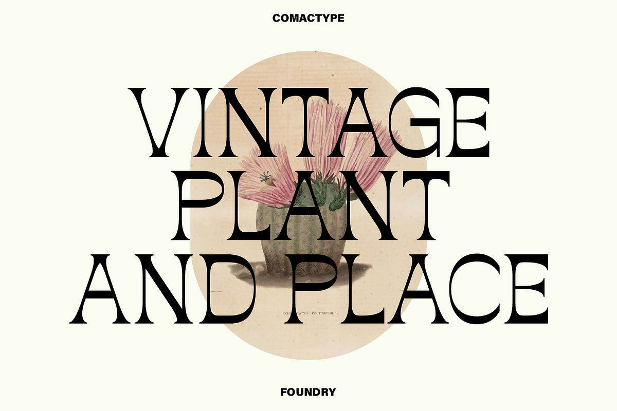 Rompluck - A Display Typeface, a Serif Font by Comactype Foundry (Photo 8 of 20)
