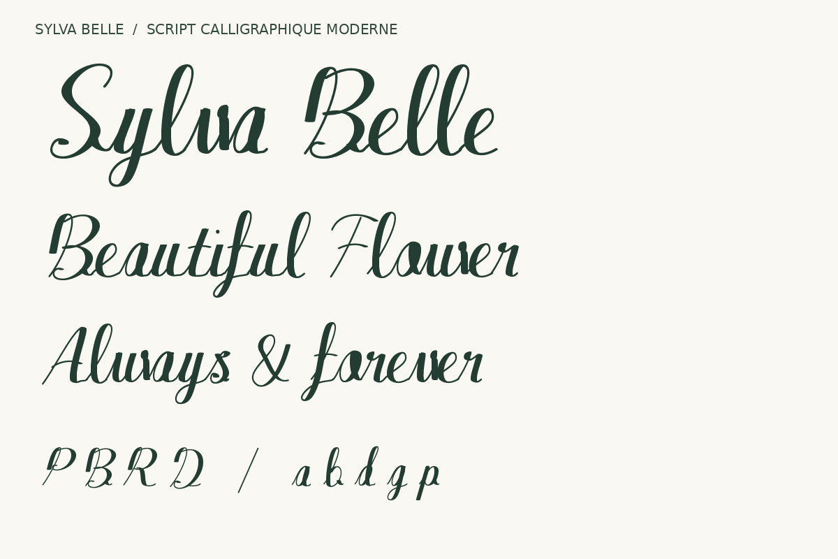 Sylva Belle Modern Calligraphy, a Script Font by Colorsfav (Photo 2 of 10)