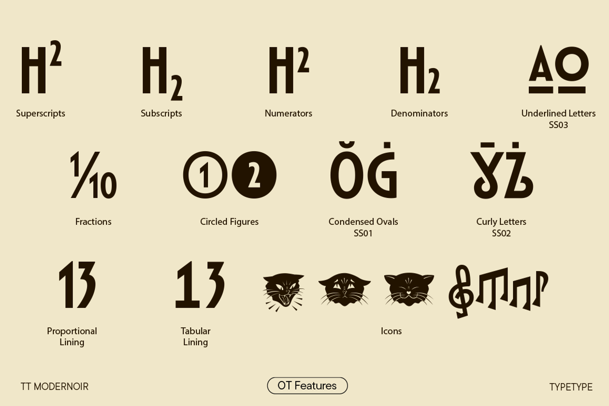 TT Modernoir, a Sans Serif Font by TypeType (Photo 6 of 17)