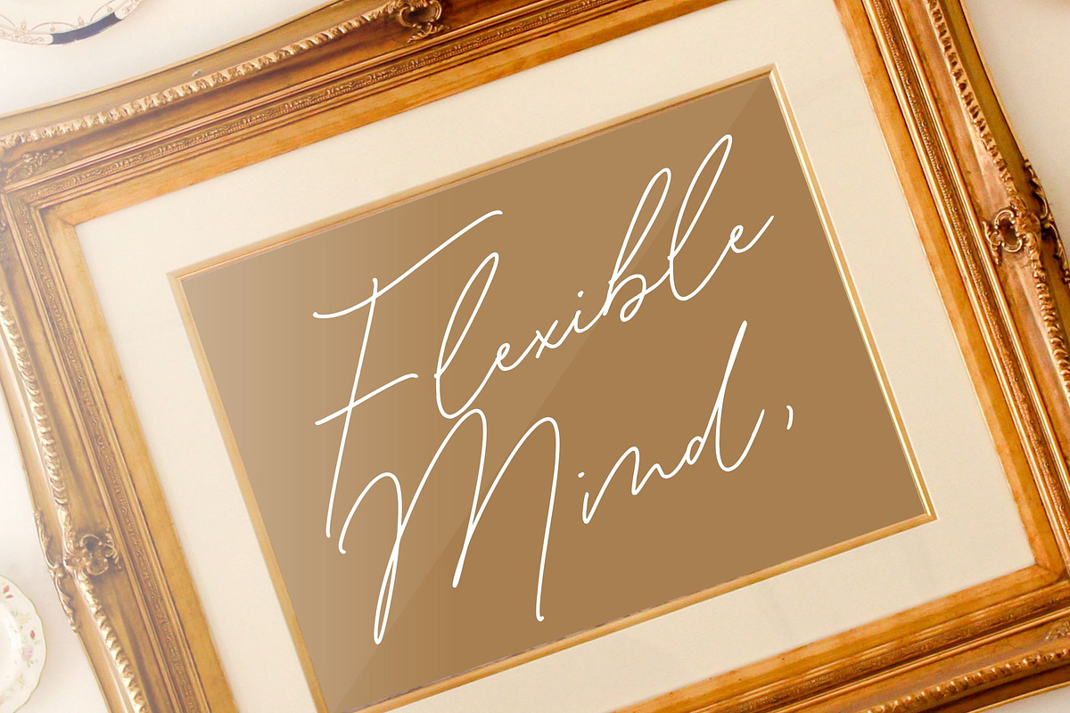 Antonio Fischer - Monoline Font, a Script Font by Balpirick Studio (Photo 3 of 7)