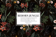 Reborn Jungle, a Work Illustration by Luiz da Rolt Grathwohl (Thumbnail 1 of 10)