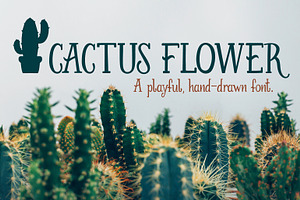 Cactus Flower