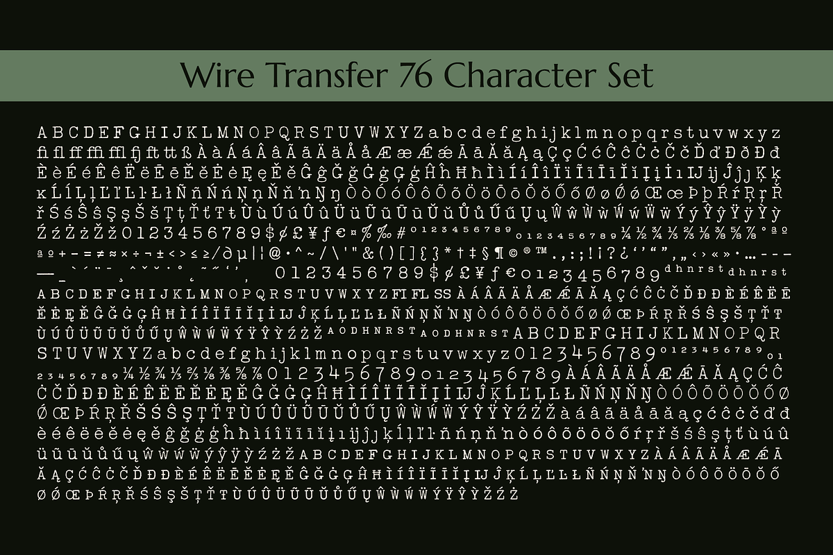 Wire Transfer 76, a Serif Font by Stiggy & Sands (Photo 9 of 9)