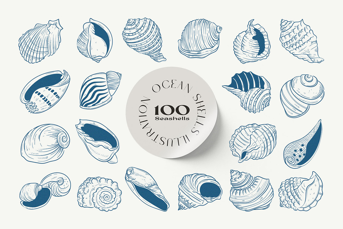 Ocean Shells Illustration, an Object Illustration by KetteCreate (Photo 6 of 17)