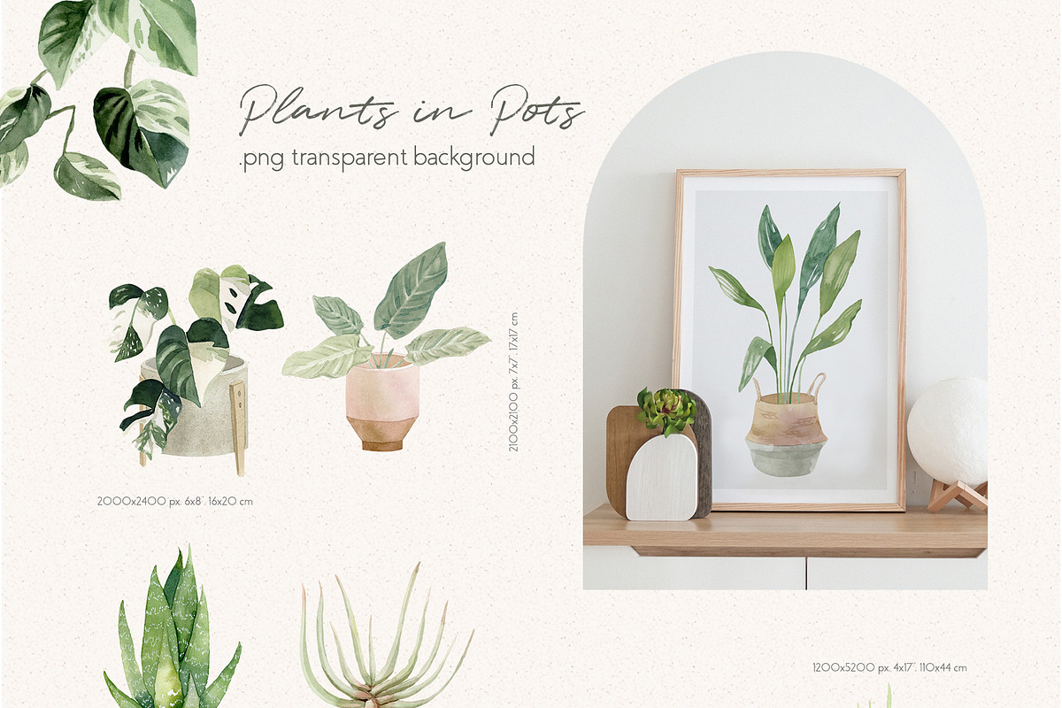 Cosy House Plants Watercolor Clipart, an Illustration by Julia M. Watercolor (Photo 5 of 11)