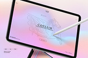 CANDY Animated Gradients Backgrounds, a Social Media Template by Sparrow & Snow (Thumbnail 16 of 21)
