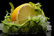 Citrus Art - 25 images, a Food Illustration by Handmadefont (Thumbnail 3 of 10)