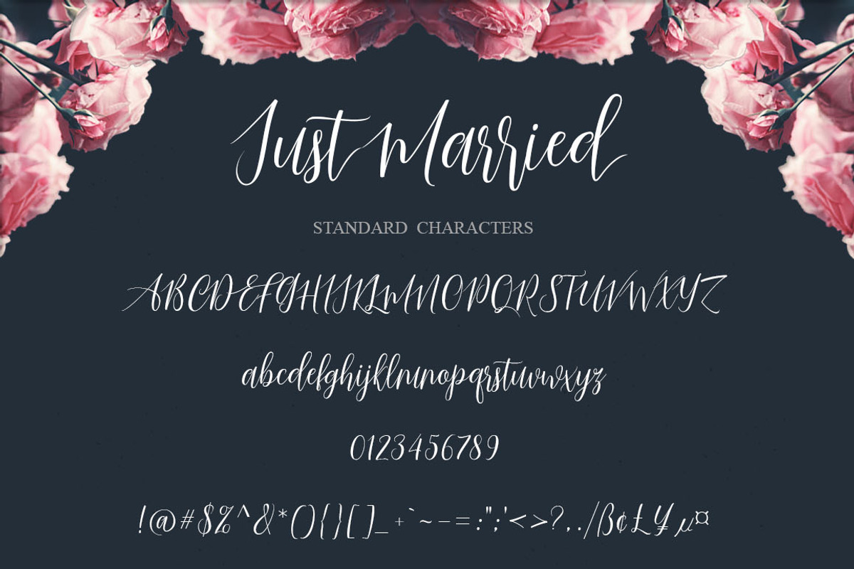 Just Married Script, a Script Font by Gatype (Photo 2 of 8)