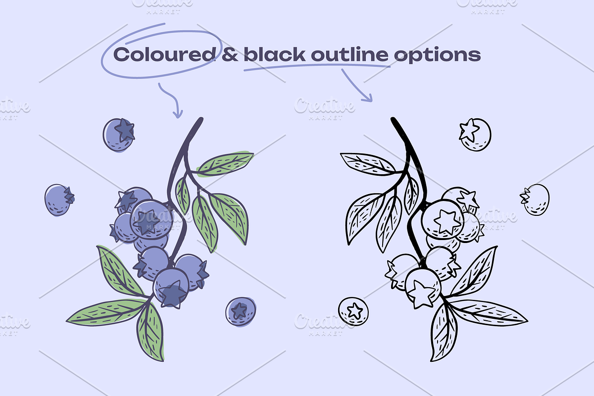 Berries Vector Illustration Pack, an Illustration by Castula (Photo 10 of 17)