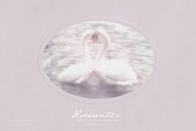 Rosewater Dreamy Pastel Backgrounds, a Background Graphic by alonahaidash (Thumbnail 2 of 16)