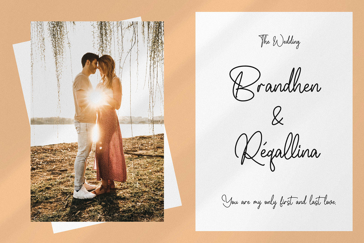 Whitteney, a Script Font by Integritype Studio (Photo 5 of 15)