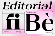 Shapfly, a Serif Font by Propertype (Thumbnail 9 of 15)