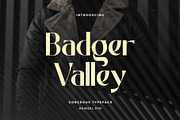 Font Bundles | Serif and Sans Serif, a Sans Serif Font by Heinzel Std (Thumbnail 4 of 9)