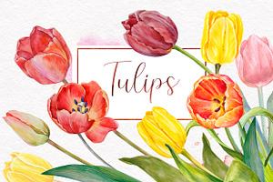 Watercolor Red And Yellow Tulips