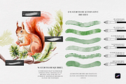 Watercolor Realistic Soft Brushes, a Brush Add-On by Spasibenko Art (Thumbnail 7 of 14)
