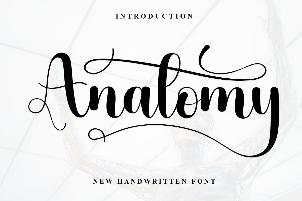 Anatomy, a Handwritten Font by InermediaSTUDIO (Photo 1 of 8)