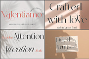 SALE! Mega Bundle 15+ Branding Fonts, a Serif Font by MchCrafter (Thumbnail 3 of 18)