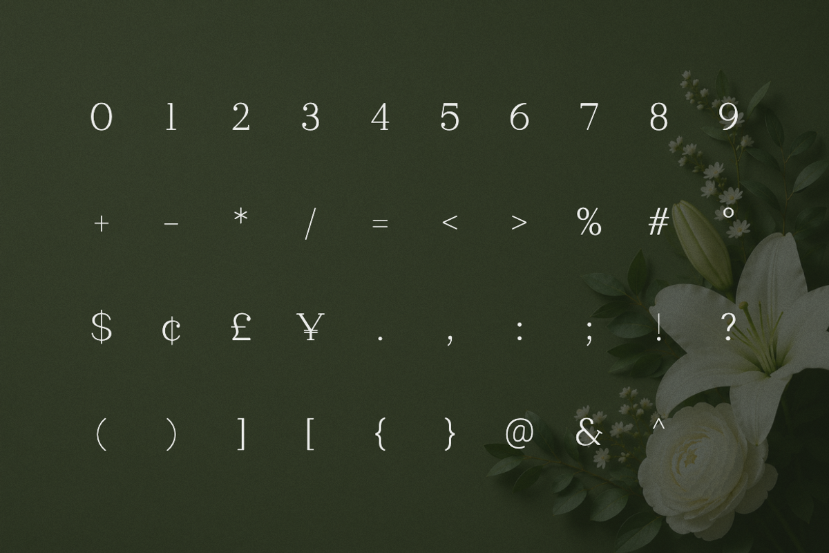 Clayton – Elegant Serif Typeface, a Serif Font by Webhance Studio (Photo 9 of 10)