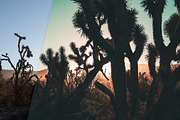 Blogger Bundle 135 Lightroom Presets, an Action Add-On by PhotoMarket (Thumbnail 80 of 94)