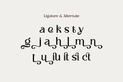 Riuka Font – Aesthetic Font, a Serif Font by Burhan Afif (Thumbnail 8 of 9)