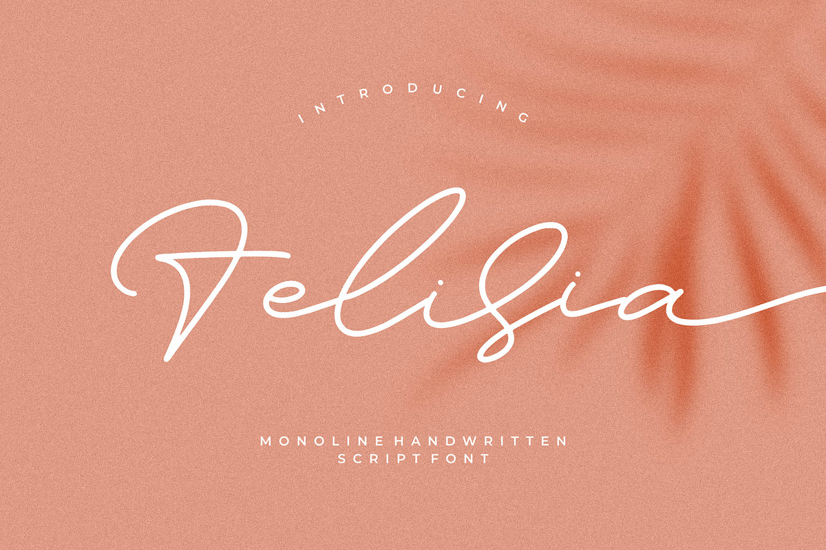 Felisia, a Handwritten Font by Integritype Studio (Photo 1 of 11)