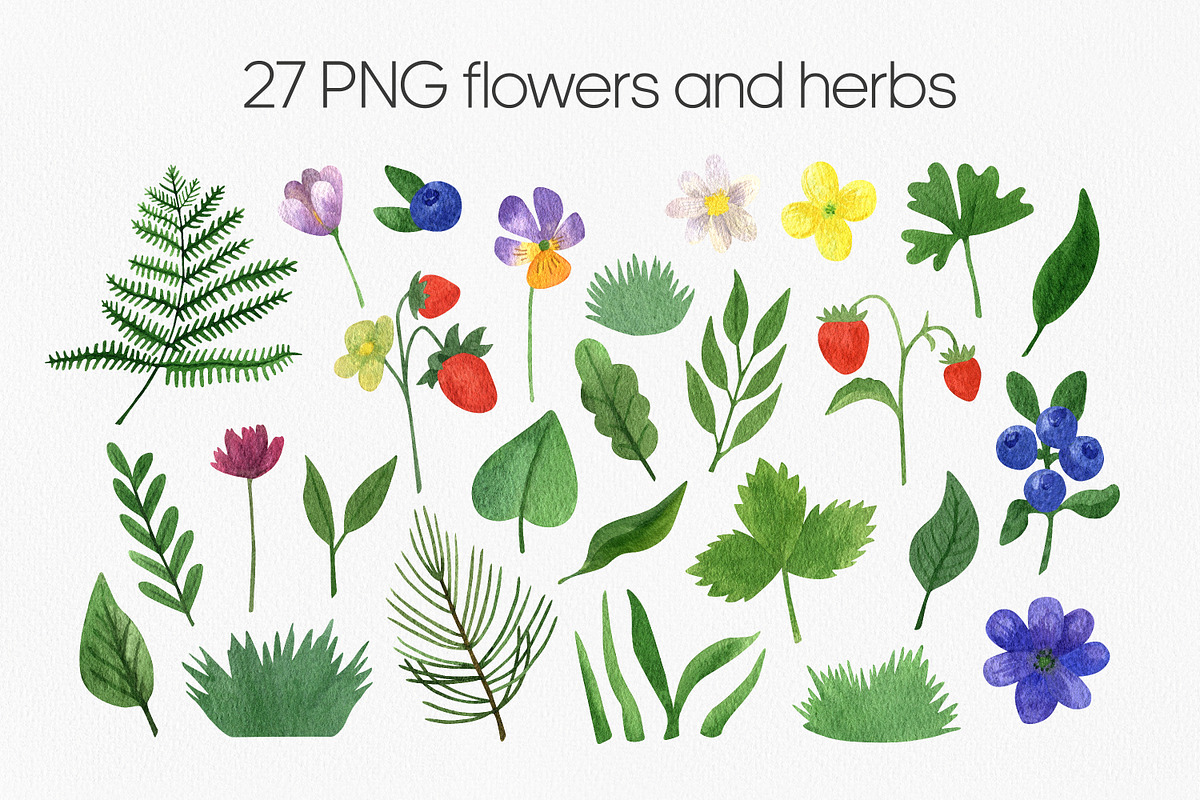 Green forest and mountain bundle PNG, an Illustration by Anntre (Photo 6 of 8)
