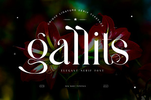 Gallits Ligature Serif Typeface