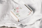 Amanda | Botanical set | 205 images, an Illustration by Karma (Thumbnail 4 of 27)