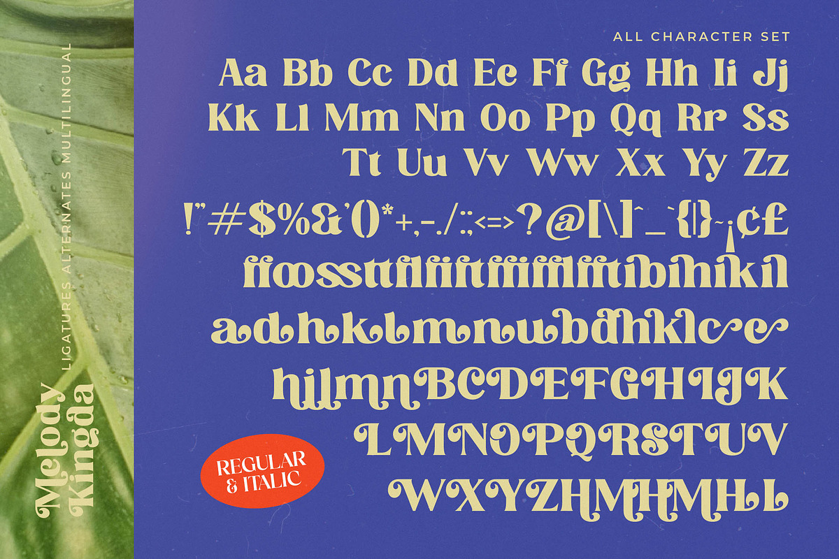 Melody Kingda Modern Retro Serif, a Serif Font by timelesstype.co (Photo 14 of 15)