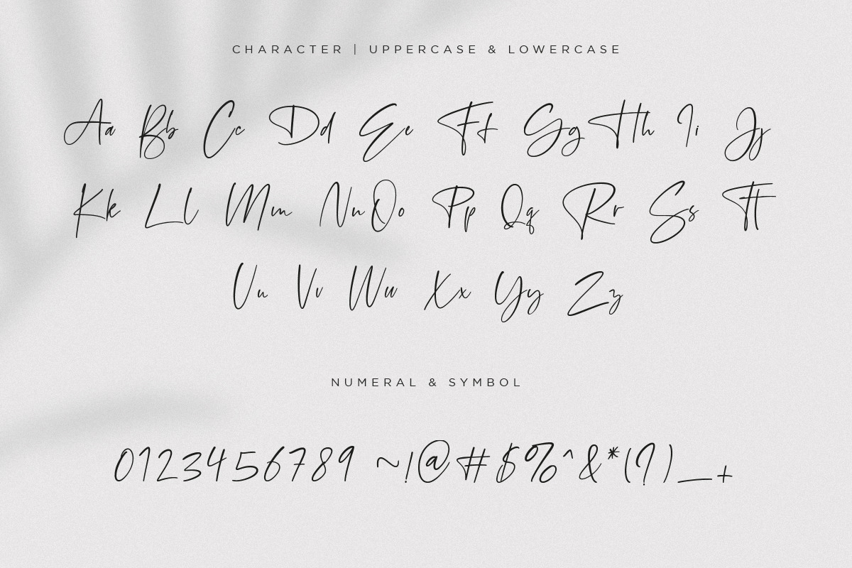 Bonelest | Stylish Ligature, a Script Font by Pentagonistudio (Photo 9 of 10)