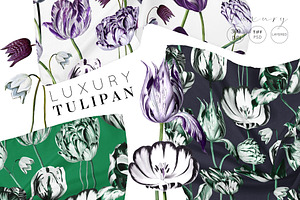 Luxury Tulipan Floral Seamless Print