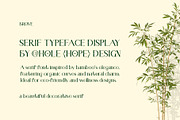 Brove | Beautiful Decorative Serif, a Serif Font by Hole Hope Design (Thumbnail 2 of 7)