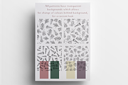 Line Art Protea Flower Elements, an Illustration by CL Creative Studio (Thumbnail 7 of 12)