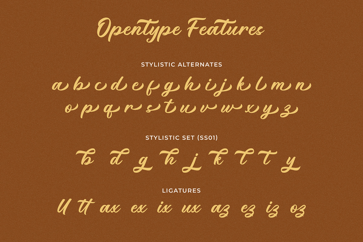 Kellyna Modern Script, a Font by Haps Space (Photo 5 of 8)