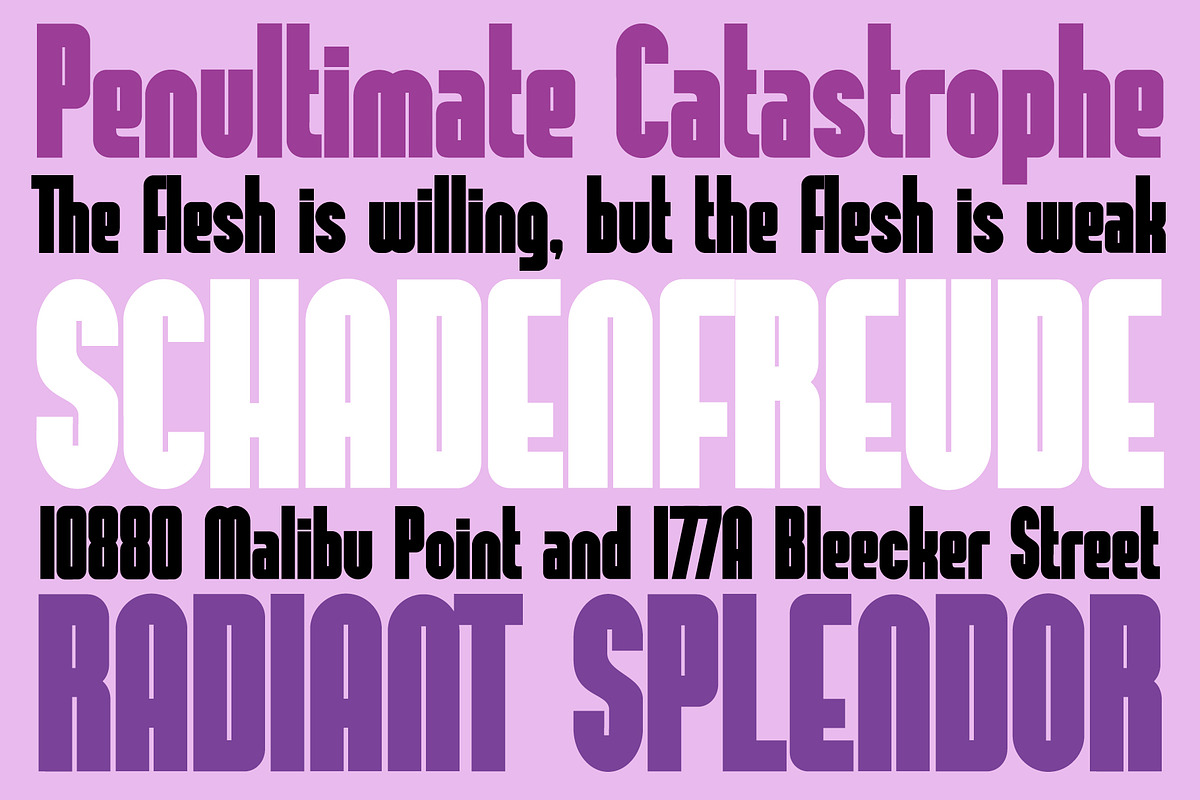 GUSTO, a Sans Serif Font by Loudoun Design Co. (Photo 8 of 9)