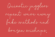 CS Ruska Disco, a Script Font by Craft Supply Co. (Thumbnail 4 of 8)